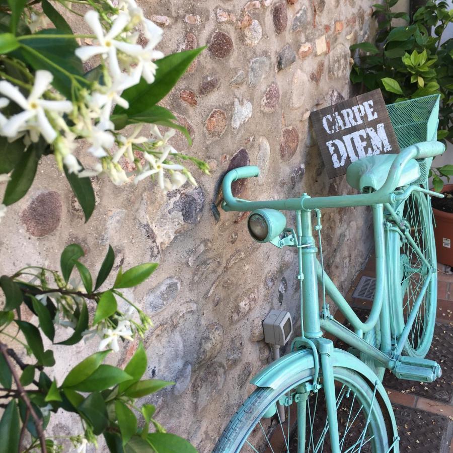 Bed & Breakfast Carpe Diem โซลเฟริโน ภายนอก รูปภาพ